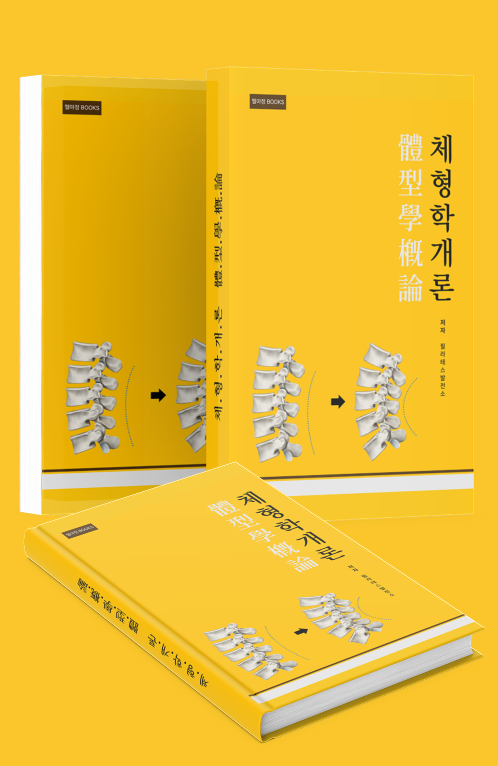 체형교정학개론